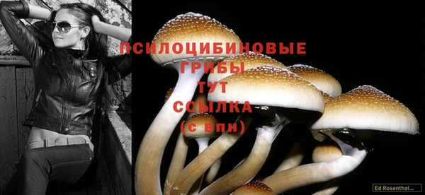 твердый Абинск