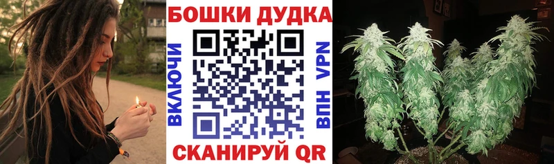 Канабис VHQ  наркошоп  Новоалтайск 